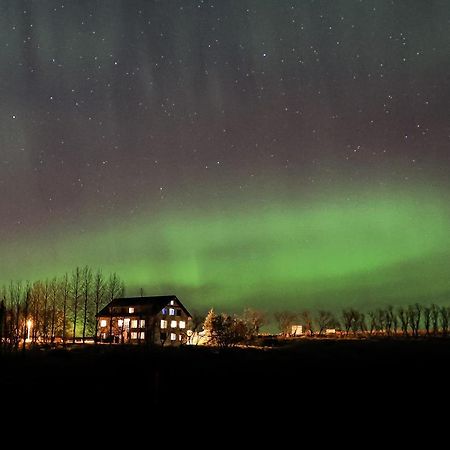 Guesthouse Bitra B&B Selfoss Exterior photo